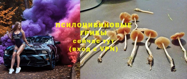 MESCALINE Гусиноозёрск